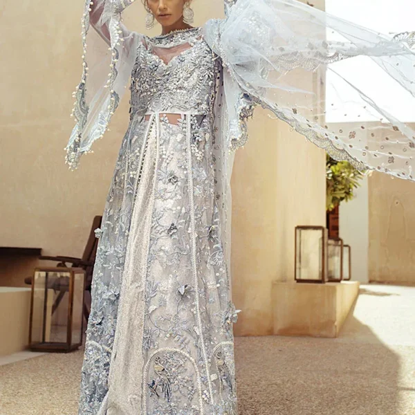 Luxury Wedding Collection Fancy Dress | Mushq