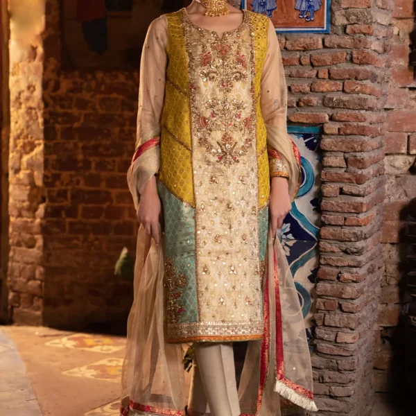 Rozina Munib Fancy Dress for Women at mm noor